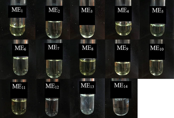 Stability of MEs after 15 months of storage at room temperature. As seen, all formulations except ME13 were clear without any turbidity or sedimentation.