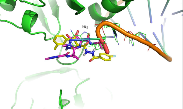 Compound 8b (shown in yellow) is superimposed over co-crystallized raltegravir (shown in purple) in the PFV IN active site.