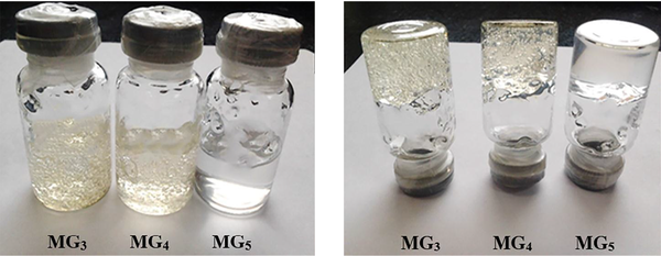 Stability of MBGs after 9 months of storage at room temperature. No textural change or breakdown was observed in the formulations investigated.