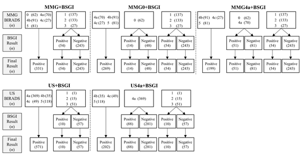 The subgroups of MMG and US (BSGI, breast-specific gamma imaging; MMG, mammography; US, ultrasonography).