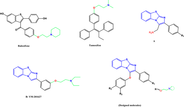 Some representative examples of selective estrogen receptor modulators (i.e., raloxifene and tamoxifen), A and B as potent cytotoxic agents of designed molecules.