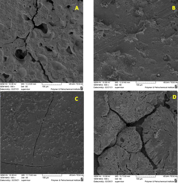 FESEM of nanocomposite degradation process and apatite growth on the surface (A) PLA-PCL polymer matrix, (B) PLA-PCL-HA, (C) PLA-PCL-HA-1% ZNO, (D) PLA-PCL-HA-1% ZNO-1% Gr with 500x magnification