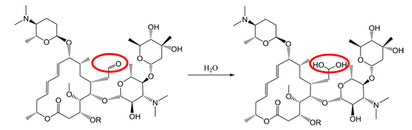 Addition of water molecules to the spiramycin structure.