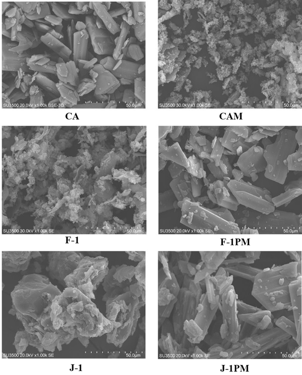SEM micrographs of the intact CA, milled formulation without additive (CAM), formulations prepared in the presence of pluronic F68 and Myrj 52 and related PMs (× 1000)