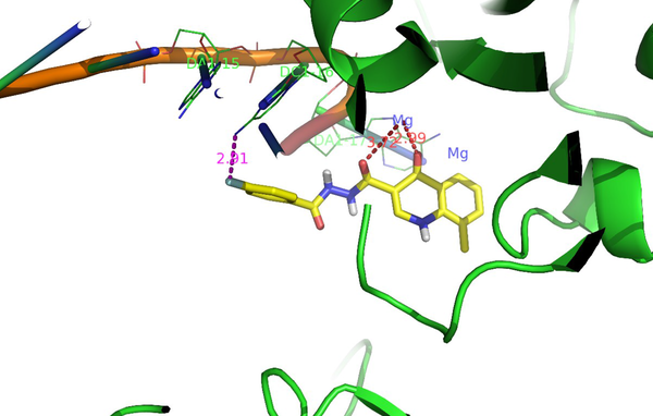 Compound 8b binding mode at the PFV IN active site (shown in yellow) (PDB 3OYA)