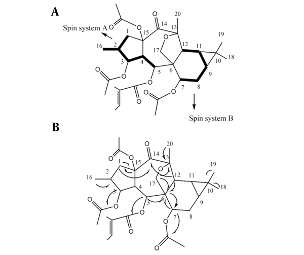 (A) 1H-1H COSY couplings and (B) Key HMBC correlations of compound 1