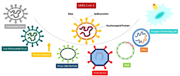 An overview of different SARS-CoV-2 vaccine platforms.