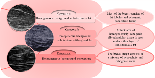 Breast ultrasounds of different categories of tissue composition and their relevant definitions
