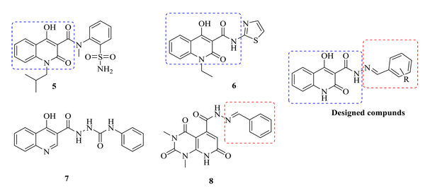 Structure of IN inhibitors and designed molecules