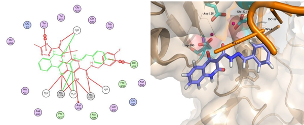 2D and 3D alignment of best-docked pose of Compound 12g (violet) in PFV IN active site