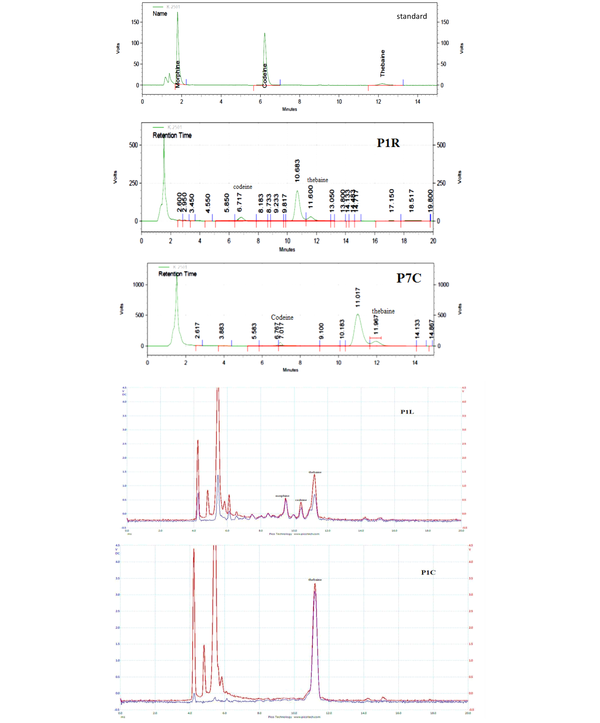 High-performance liquid chromatography chromatograms of standard (10 ppm) and two samples (P7C and P1R) and the ion mobility spectrometry diagrams for P1L and P1C samples.