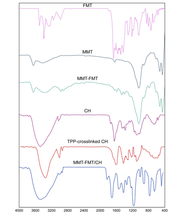 Fourier-transform infrared spectroscopy spectra of test samples