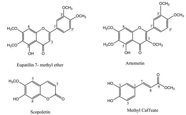 Chemical structures of isolated compounds