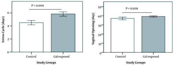 Comparison of estrous cycle duration and vaginal opening in prenatally Gal-exposed rats and controls. Bars indicate standard errors.