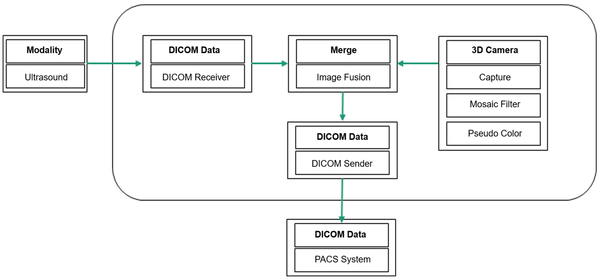 The flow diagram indicating the image fusion workflow (DICOM, digital imaging and communications in medicine; 3D, three-dimensional; PACS, picture archiving and communication system).