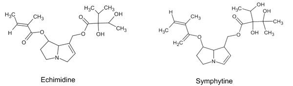 Chemical structure of two important compounds of Pas
