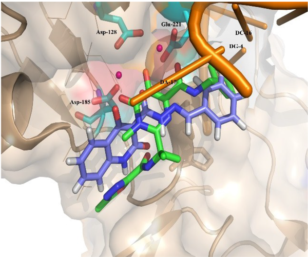 Overlay of Compound 12g (violet) on raltegravir (green) in PFV IN active site