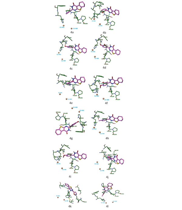 Locations of compounds 4a-4l at the tyrosinase binding site