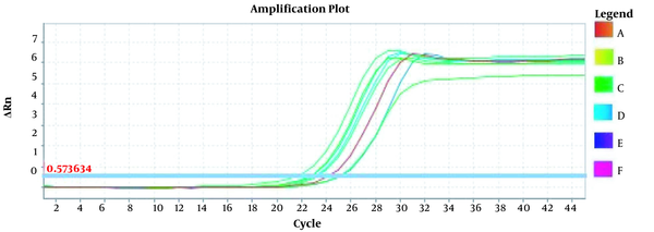 The amplification plot for pat gene