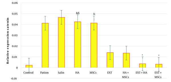 Relative expression of catenin in different research groups (*, significant symptoms compared to the patient group; &, significant sign of EXT + MSCs group; $, significant symptoms on EXT + HA).