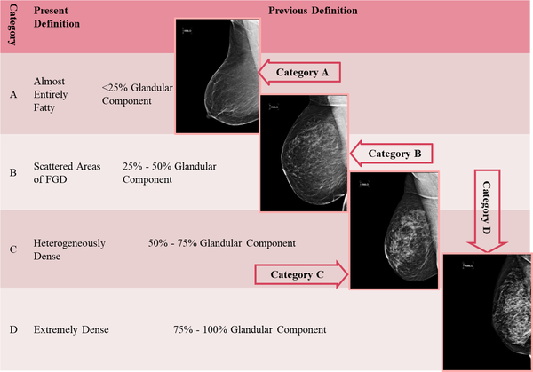 The Breast Imaging-Reporting and Data System (BI-RADS) Made Easy, IJ  Radiology