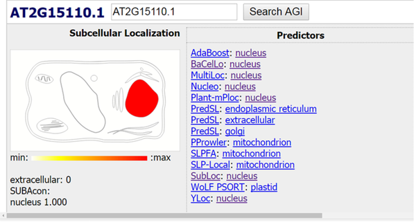 Search Results for the Location of the Searched Protein in the Data of Different Databases