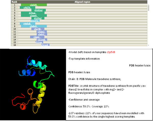 Results of studying the three-dimensional (3D) structure of the searched protein with the 3D structure of known proteins.