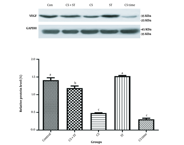 Western blot analysis of VEGF protein levels in Con, CS + ST, ST, CS, and CS + R groups [data are expressed as mean ± SD; Non-identical letters are significant to each other; *P &lt; 0.05; CS + ST, chronic mild stress; CS, chronic mild stress; ST, swimming training; CS time, chronic mild stress-time (or recovery)].