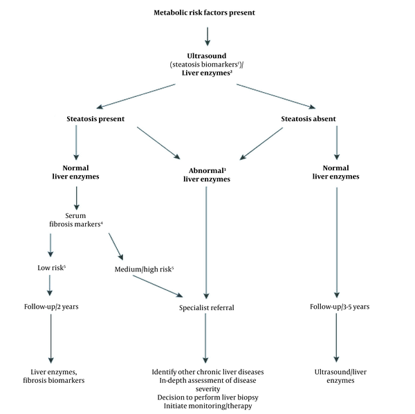 Diagnostic flow-chart for evaluating and monitoring the disease severity in the presence of suspected NAFLD and cardio-metabolic factors. (1) Steatosis biomarkers: Fatty Liver Index, Steato Test, NAFLD fat score; (2) Liver tests: ALT, AST or GGT; (3) Any increase in ALT, AST, or GGT; (4) Serum fibrosis markers: NAFLD Fibrosis Score, FIB-4, Commercial tests (e.g., FibroTest, FibroMeter, or ELF scores); (5) Low risk: showing no/mild fibrosis; medium/high risk indicates significant fibrosis or cirrhosis.