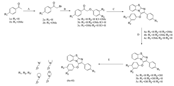 Synthesis of benzo[d]imidazo[2,1-b]thiazole derivatives: reagents and conditions: A, Br2, CH3OH, RT; B, K2CO3 (1.5 eq), phenol or 4-methoxyphenol (1.1 eq), acetone, reflux, 5 hours; C, I2 (2 eq), 2-aminobenzothiazole (3 eq), dimethylformamide, reflux, 24 hours; D, BBr3 (5 eq), methylene chloride, -10°C; E, K2CO3 (3 eq), different 2-chloroethylamines (3 eq), acetone, reflux, 5 hours.