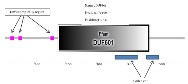Results from the Pfam database to identify the domain in the requested protein, including a domain of unknown function (DUF) called DUF601 and two sequences containing a coiled-coil structure and three structures of low complexity region.