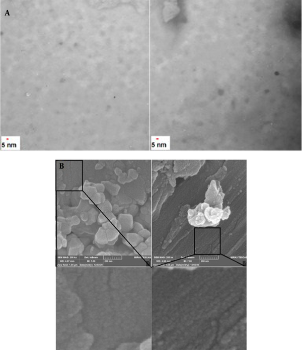 (A) Transmission electron microscopy and (B) field emission scanning electron microscopy images of N, S, P, B-codoped carbon dots at various magnifications