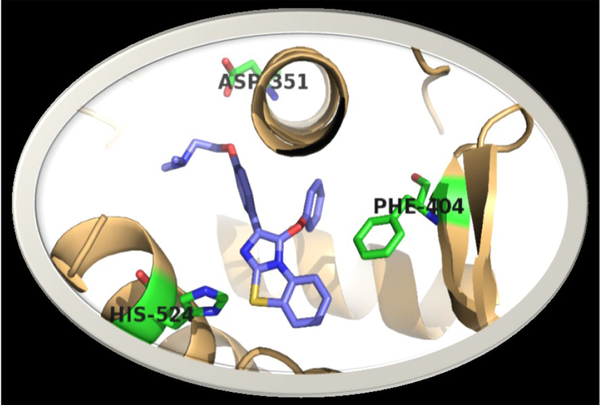 Binding modes of 6i (N,N-dimethyl-2-(4-(3-phenoxybenzo[d]imidazo[2,1-b]thiazol-2- yl)phenoxy)ethanamine) in the active site of estrogen receptor alpha [protein data bank ID: human estrogen receptor ligand-binding domain in complex with raloxifene (1ERR)].