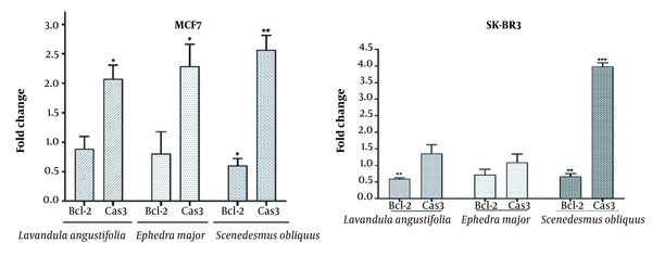Relative expression of two Caspase 3 and Bcl-2 genes in treatment MCF-7 and SK-BR3 cells lines with Lavandula angustifolia, Ephedra major, and Scenedesmus obliquus (C) extracts during 24h [bars represent the mean and standard error of four independent experiments. Control: untreated sample (*P &gt; 0.05, ** P &lt; 0.05, ***P &lt; 0.01)].
