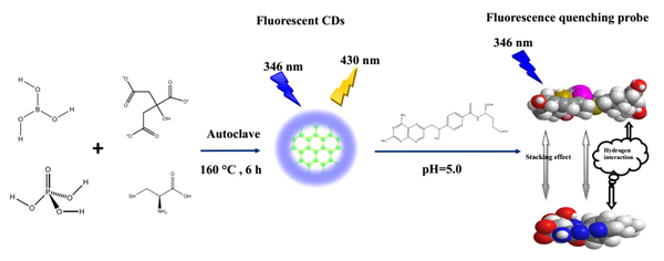 Synthesis of carbon dots (QDs) and effect of methotrexate on fluorescence emission