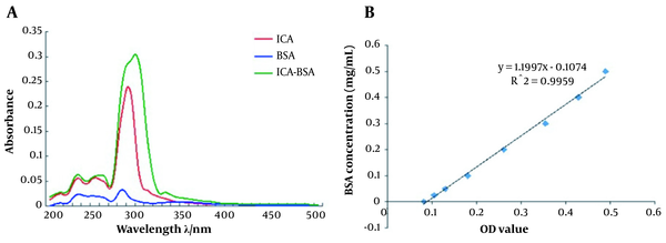 Sephadex G-25 chromatography results: (A) Ultraviolet (UV)-visible absorption curves of icariin (ICA), bovine serum albumin (BSA), and ICA-BSA; (B) UV absorbance of the standard curve by bicinchoninic acid