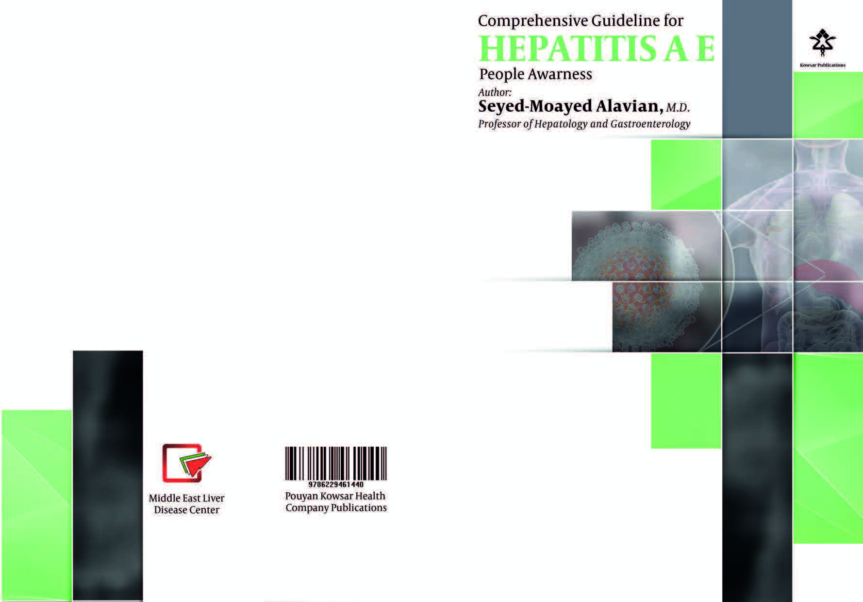 Protecting Yourself: Understanding and Preventing Hepatitis A and E book cover