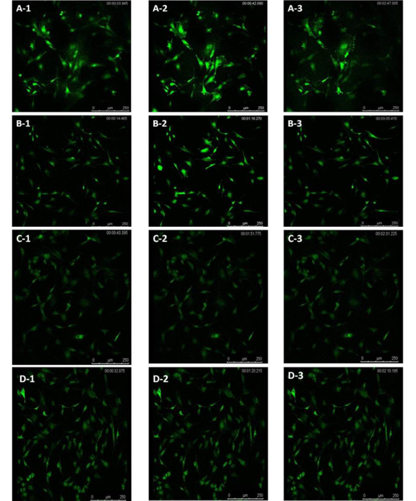 Fluo-3/AM fluorescence intensity changes in osteocytes of different compositions at different time points before and after icariin (ICA) or ICA-bovine serum albumin (BSA) addition. Group A: ICA, group B: ICA-BSA, group C: ICA-BSA + ICI182780, group D: ICA-BSA + PD98059