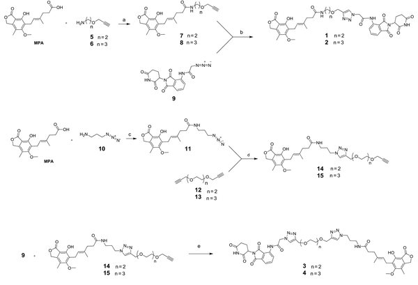 Reagents and conditions: A, DMF, 2-(1H-benzotriazole-1-yl)-1,1,3,3-tetramethylaminium tetrafluoroborate (TBTU), DIEA, r.t, 4 h, 42% yield; B, THF, H2O, 9, CuSO4.5H2O, sodium ascorbate, r.t, 12 h, 47% yield; C, DMF, TBTU, DIEA, r.t, 4 h, 56% yield; D, THF, H2O, 12 or 13, 4 eq, CuSO4.5H2O, sodium ascorbate, r.t, 12 h, 60% yield; E, THF, H2O, CuSO4.5H2O, sodium ascorbate, r.t, 12 h, 63% yield
