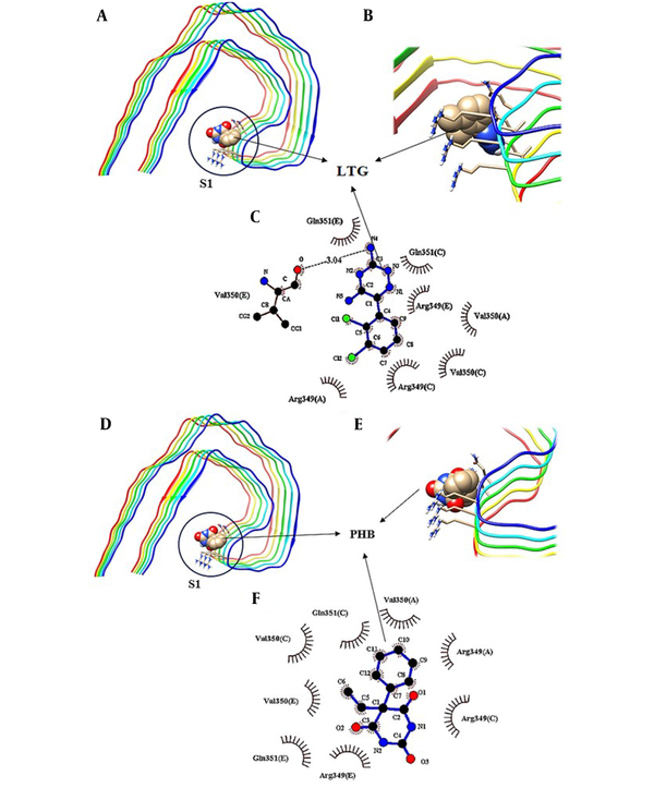 Molecular docking model of the binding of lamotrigine (LTG) to tau protein, A, the binding site; B and C, detailed illustration of LTG-tau protein complex, and also D, the binding mode of phenobarbital (PHB) with tau protein; E and F, detailed illustration of PHB-tau protein complex in S1 pockets.