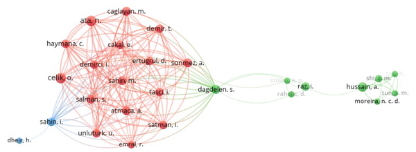 The co-authorship network of authors publishing documents on COVID-19 and diabetes