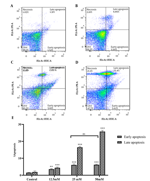 Analysis of the cell apoptosis with annexin-V/PI staining, using flow cytometry. A, the early and late apoptosis of control group; and B, the groups treated with VPA at 12.5; C, 25; and D, 50 mM concentration for 48 h. E, data are mean ± SD of 3 treatments in each group. ** P < 0.01 compared to control group; *** P <0 .001 compared to control group; ns, no significant.