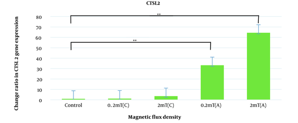 Expression changes of CTSL2 in AGS cell line under the continuous and discontinuous exposure to ELF-EMF with magnetic flux density of 0.2 and 2 mT. AGS cells were exposed to continuous and discontinuous magnetic flux densities of 0.2 and 2 mT for 18 h. Control samples were cultured under the same condition without exposure to the electromagnetic field. Data are represented as the mean ± SD. C: Continuous, A: Discontinuous. *P-value < 0.05, **P-value < 0.01.