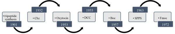 A schematic history of peptide developments