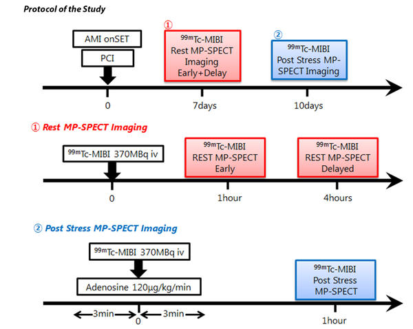 The study protocol. Rest myocardial perfusion (MP) imaging with 99mTc-sestamibi was performed within seven days after percutaneous coronary intervention (PCI). Stress MP imaging was performed within 10 days after rest imaging.