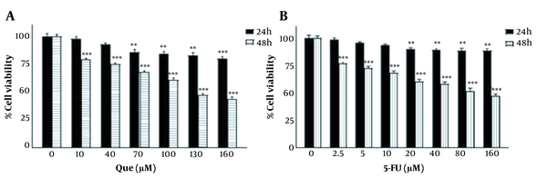 Effects of Que and 5-FU on cell viability of HUVECs. A, HUVECs were treated with different concentrations of Que for 24 and 48 h. Cell viability was assessed using MTT assay; B, HUVECs were treated with the different concentrations of 5-FU for 24 and 48 h. The cell viability was assessed utilizing the MTT assay. The results are shown as the mean ± S.E.M of 3 independent experiments (**P &lt; 0.01; ***P &lt; 0.001 compared with the control).