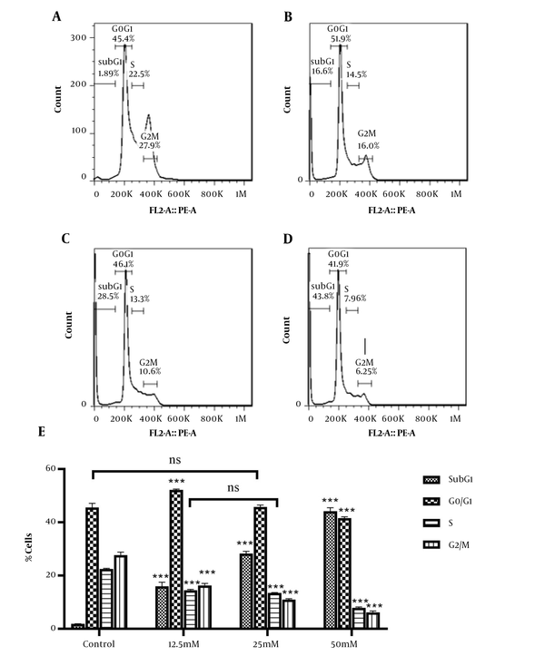 Cell cycle analysis of HeLa cells under VPA exposure, using flow cytometry. A, the population of cells in each phase of the cell cycle in the control group; and B, the groups treated with VPA at 12.5; C, 25; and D, 50 mM concentration for 48 h. E, data are mean ± SD of 3 treatments in each group. *** P < 0.001 compared to the control group; ns, no significant.