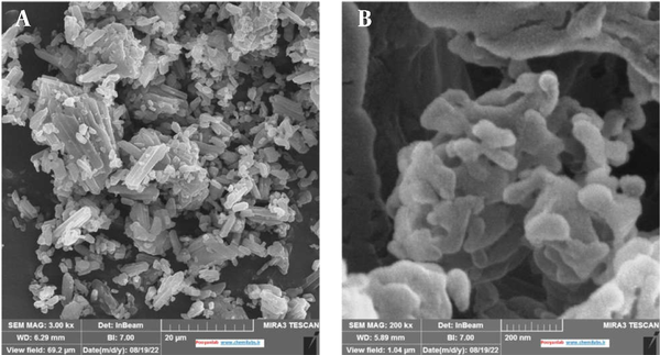 FE-SEM micrographs of (A) EZ powder (× 3000) and (B) FD-NS (× 200000)