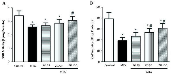 Effects of zingerone on the activity of SOD and CAT enzymes in liver tissue of rats treated with MTX (mean ± SD; n = 7) [ZG, zingerone; MTX, methotrexate; * Significant difference with the control group (P &lt; 0.05); # Significant difference with the MTX group (P &lt; 0.05)].