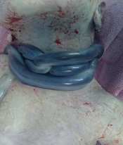 Fertil Gynecol Androl